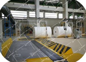 China Auto Tissue Roll Handling &amp; Wrapping System CE factory
