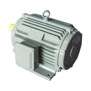 China IP55 High Efficient Electric Motor IE3 Induction Motor Asynchronous factory