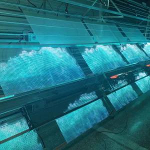 China Sticky Flexible Film LED Display Adhesive LED Transparent Film Screen For Glass factory