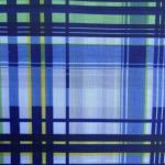 100%Polyester 63D*63D 58gsm 210T taffeta