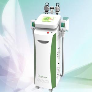 China Hottest sale!!! Factory price!!! cryolipolysis slimming machine for weight loss factory