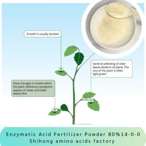 China Enzymatic Acid Fertilizer Powder Amino Acid 80% Ph5-7 NPK 14-0-0 Plant Biostimulant factory