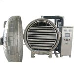 Professional Lyophilizer Drying Industrial Freeze Drying Machine 304/316