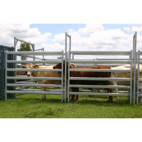 cattle panels for sale NSW