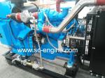 Cummins Engine 175KW Natural Gas Engine