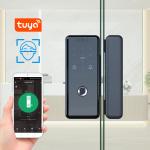 3D Face Tuya Glass Door Smart Lock Full Automatic Fingerprint Passcode IC Card