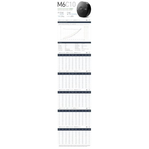 ANTIMATTER M6C10 IPE Brushless DC Motor technical specifications