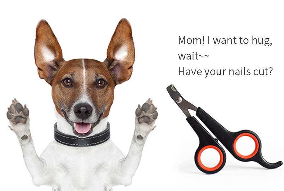 Pet Dog Cat Nail Clipper Stainless Steel Grooming Clippers Scissors Puppy Dogs Cats