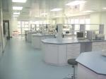 Steel School Lab Furniture , Aluminum Alloy Column Portable Lab Bench