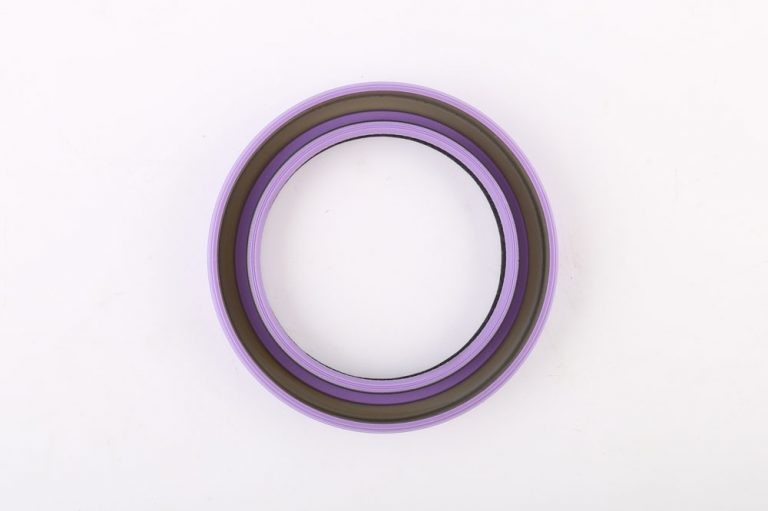 Oil Seal for 4BGT6BG1-3DB58T