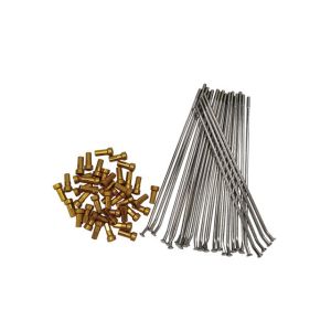 China Motorcycle Stainless Steel Spokes and Blue Alloy Nipples for Optimal Functionality factory