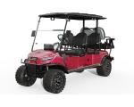 Street Legal Golf Cart NL-JA4 2.G Electric Buggy for Sightseeing Club 10%