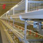 96 Birds / 128 Birds Broiler Cage System A Type Or H Type In African Market Iris