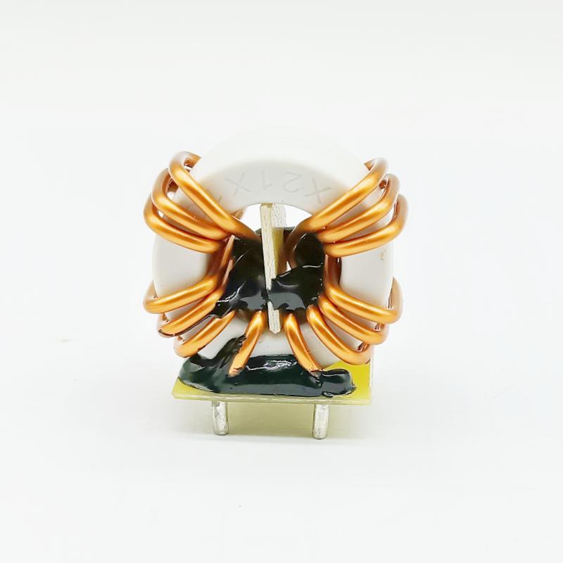 Amorphous Nanocrystalline Toroidal Inductors High current DIP Common Mode Filter Inductor Common Mode Coil Inductor