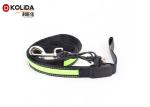 Adjustable Light Up Easy Walking Rechargeable LED Dog Leash Green For Pets