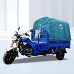 Three Wheels Heavy Duty Truck Tyre Cargo Bike Tricycle for Transporting Auto