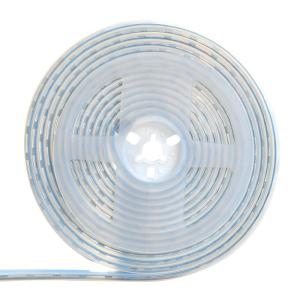 China 6W 8W 10W 12W 12V Flexible LED Strip Light SMD 5050 RGB Multi Colors 300 LEDs factory