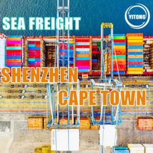 China Shenzhen to Cape Town International Sea Freight Service FOB CIF EXW Trade Term factory