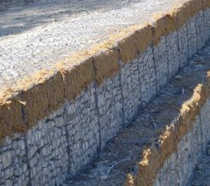 China CE Hdpe Geonet Gabion Wire Mesh / Low Carbon Stone Cage 2.2mm - 4.0mm Wire factory