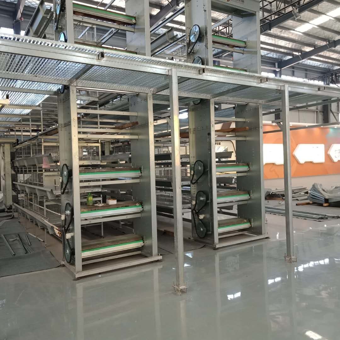 4 Tiers Poultry Farm Cleaning Equipment , Automatic Chicken Farm Machine