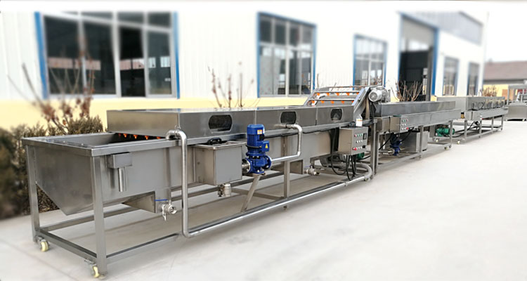 JOYSHINE Group's Mango Washing Machine Easy to Operate at 500kg/h Production Capacity