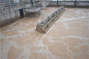 China Sequence Batch Reactor Food Processing SBR Wastewater Treatment factory