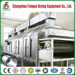 Ce ISO Certificated Belt Dryer for Pigment, Vegetable, Fruit, Rubber, Carbon