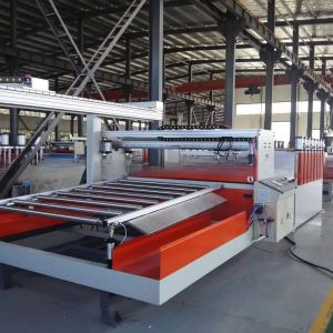 ABB/Delta Inverter Foam Board Production Line with One Feed and Deep Screw