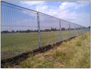 China Clear View Fence Panels factory