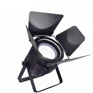 China 200 Watt Pro Stage Lighting , COB LED Par Light Warm White And Cool White With Shutter factory