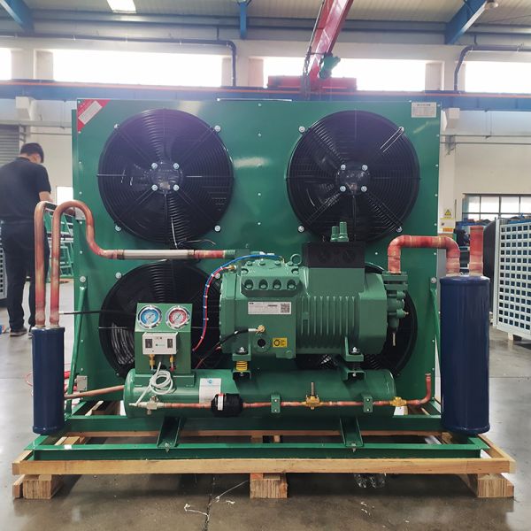 Bitzer Semi-hermetic Refrigeration Compressor Condensing Unit 380V Energy-saving Motor Cold Chamber Refrigeration Equipment