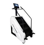 2024 Commercial Gym Fitness Equipment Stair Cardio Stepper Machine Master Stair