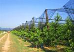 Waste Disposal Insect Mesh Netting Easywash 0.8 * 0.8mm For Horizontal Shed