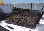 High Tensile Strength HDPE Oyster Mesh Roll Black Color 25 Meters Length
