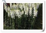 Plastic Climbing Plant Support Net Green White Cucumber Support Net