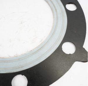 China EPDM Rubber Flange Gasket Alkali Resistance for Pharmaceutical Factory factory