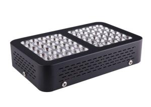China 600w grow light kits led grow light for indoor grow tents growing indoor hydroponics factory
