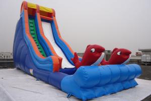 China Single Lane Fish Decorated Blow Up Water Slide PVC Swimming Pool for Sale factory