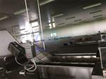 Fully Automatic Bubble Cleaning Machine Shrimp High Efficiency Industrialized