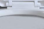 American Standard Two Piece Toilet With 10-Inch Rough-In Siphon Flushing