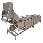300kg/H Vegetable Fruit Washer Bubble Washing Machine