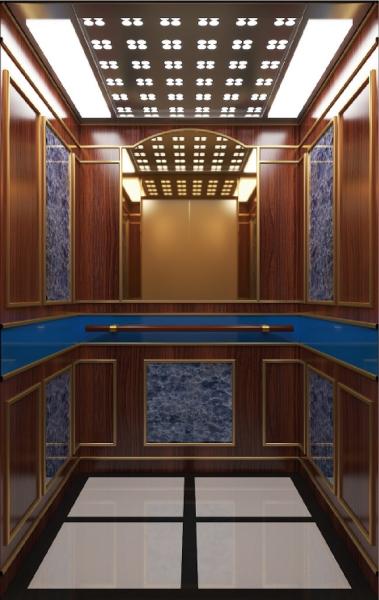 Hotels Automatic MRL Fuji Passenger Elevator Machine Roomless Fuji Passenger