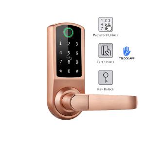 China Keypad Biometric Fingerprint Door Lock 120mm Thickness With App factory