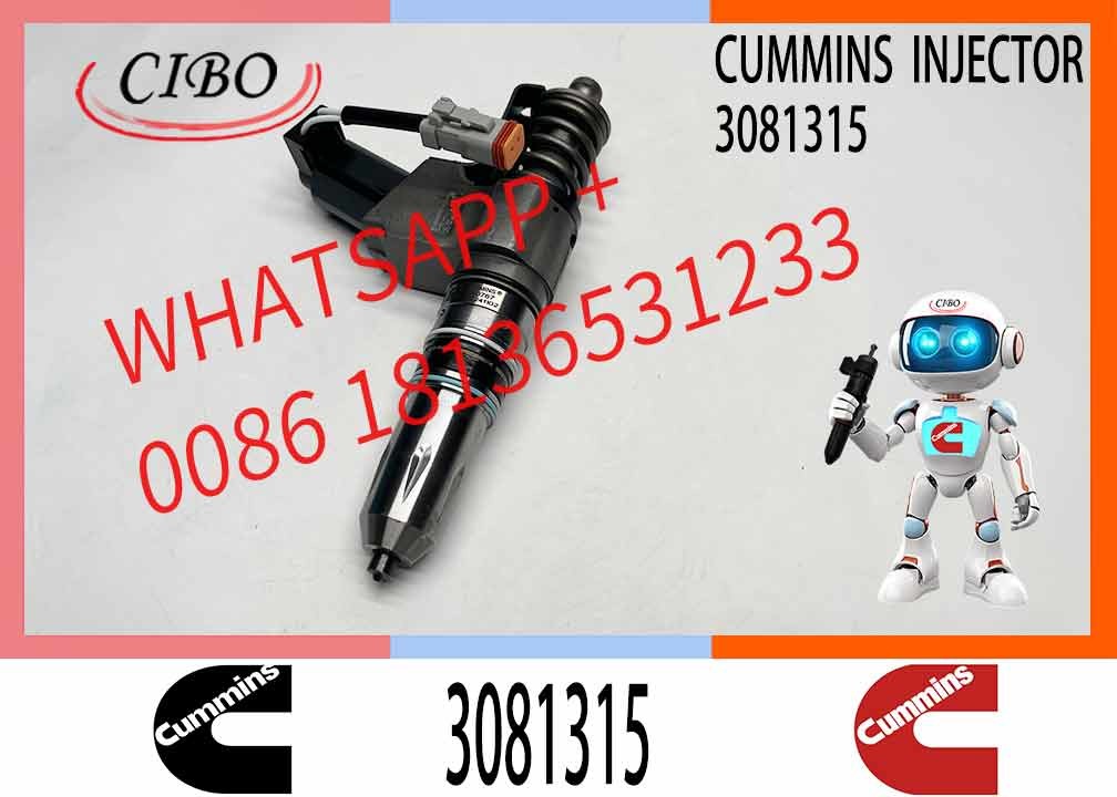 Diesel Fuel Injector 3081315 3073995F 3083846T 3083848F 3411766F 3080931F 3087558F for Cummins QSN14 N14