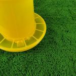 Hanging Poultry Feeder Bucket Standard Weight Yellow