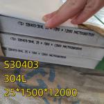 304L S30403 Hot Rolled Stainless Steel Plate SS 304L Plates Size 5 x 1220 x 2440