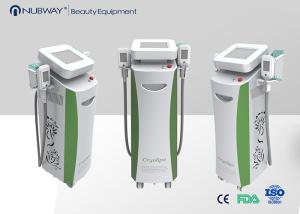 China Non Invasive Body Slimming Machine 2 Handpiece Cryolipolysis Fat Freezing Machine factory
