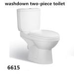 Bathroom Floor Mounted S-trap 250mm/P-trap 180mm Roughing-in Washdown Two-piece