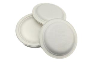 China Biodegradable Disposable 6 inch sugarcane bagasse food Round Plates factory