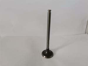 China 54294014 Auto Exhaust Valve For Peugeot 206 307 Picasso 2.0 16v Ew10 factory